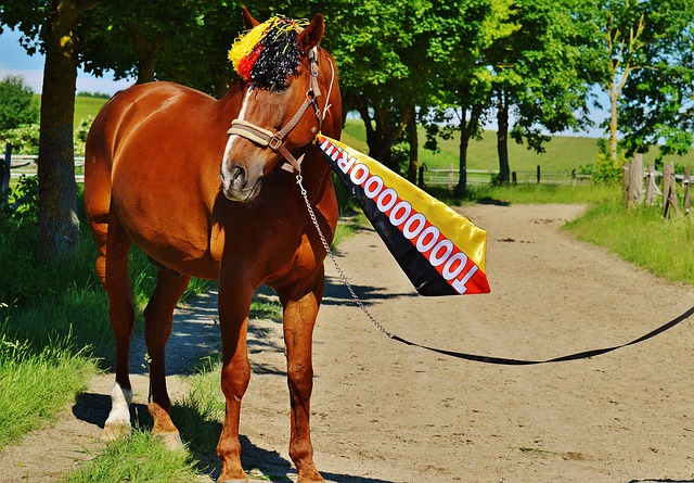 关键球员能 关键球员能