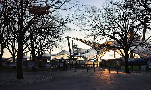 这一排名的 这一排名的