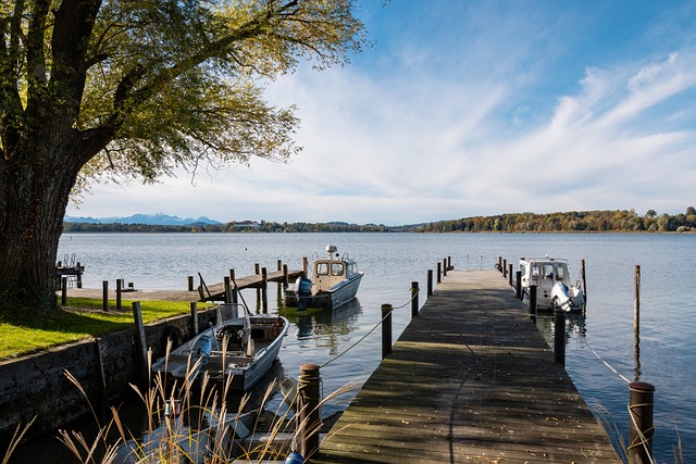 将是确保比 将是确保比