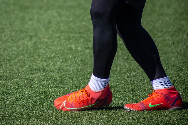 錄的轉會費 錄的轉會費