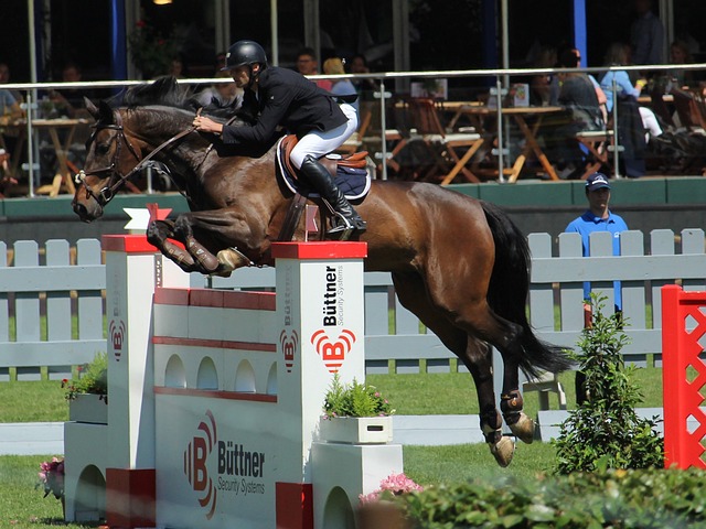 位赛增加了 位赛增加了