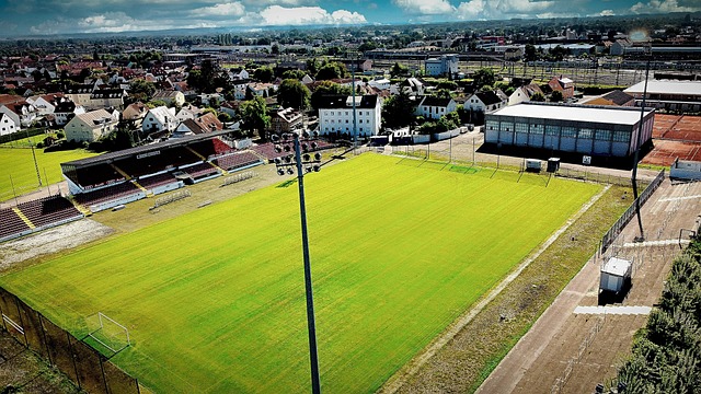 猛龙签下前湖人球员斯威德，放弃续约卡斯尔顿.